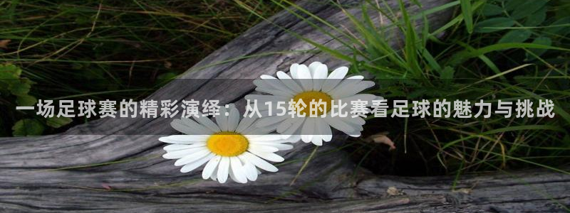 一场足球赛的精彩演绎：从15轮的比赛看足球的魅力与挑战