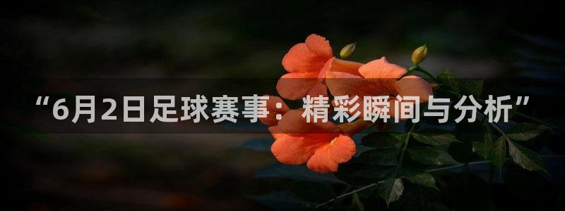  “6月2日足球赛事：精彩瞬间与分析”