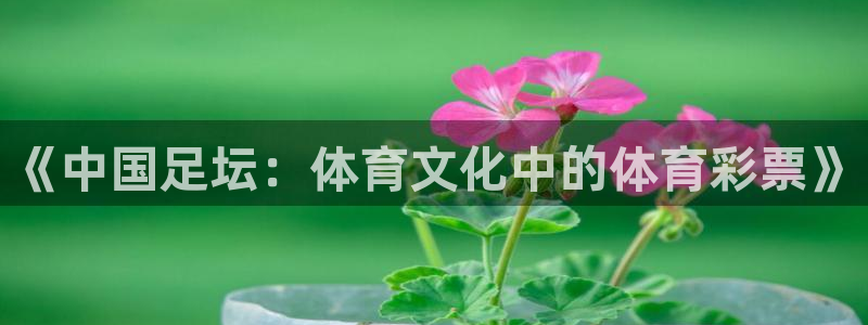 《中国足坛：体育文化中的体育彩票》