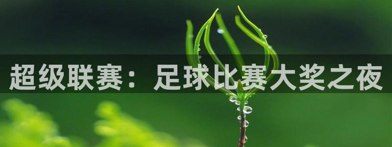  超级联赛：足球比赛大奖之夜