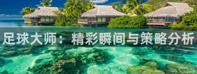  足球大师：精彩瞬间与策略分析