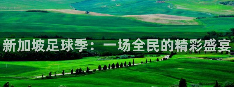 新加坡足球季：一场全民的精彩盛宴