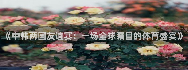 《中韩两国友谊赛：一场全球瞩目的体育盛宴》
