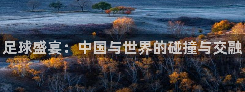 足球盛宴：中国与世界的碰撞与交融