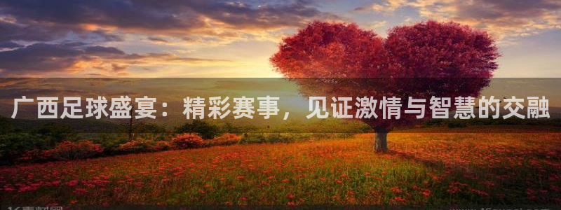 广西足球盛宴：精彩赛事，见证激情与智慧的交融