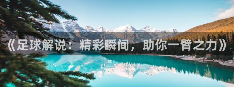 《足球解说：精彩瞬间，助你一臂之力》