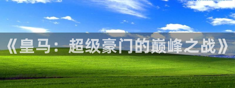 《皇马：超级豪门的巅峰之战》