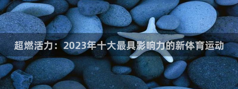 xc体育app官方网站：超燃活力：2023年十大最具影响力的新体育运动