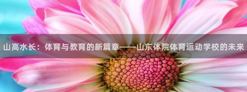 xc体育：山高水长：体育与教育的新篇章——山东体院体育运动学校的未来