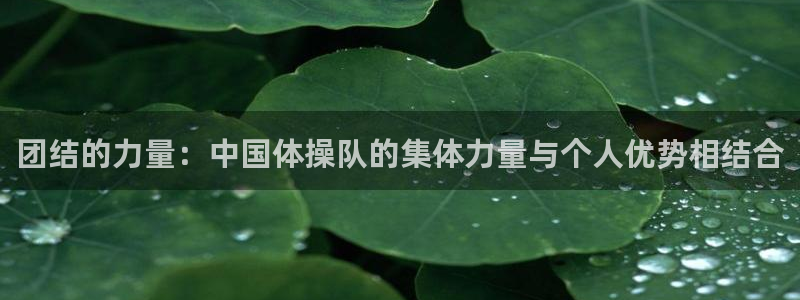 xc体育app官方网站：团结的力量：中国体操队的集体力量与个人优势相结合