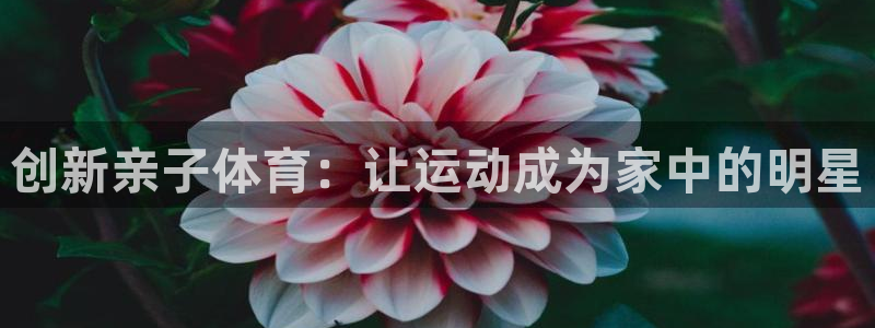 xc体育：创新亲子体育：让运动成为家中的明星