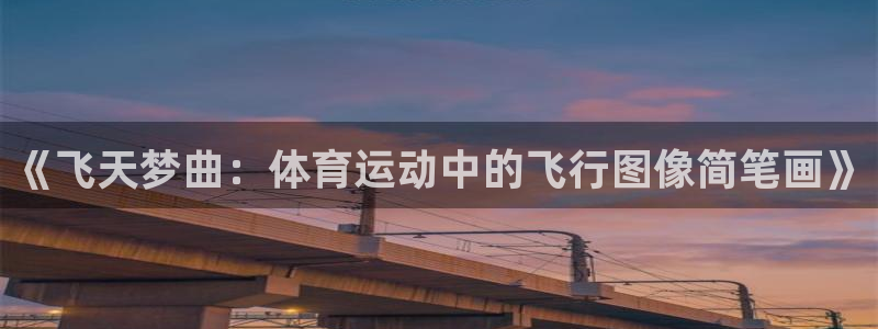 xc体育：《飞天梦曲：体育运动中的飞行图像简笔画》