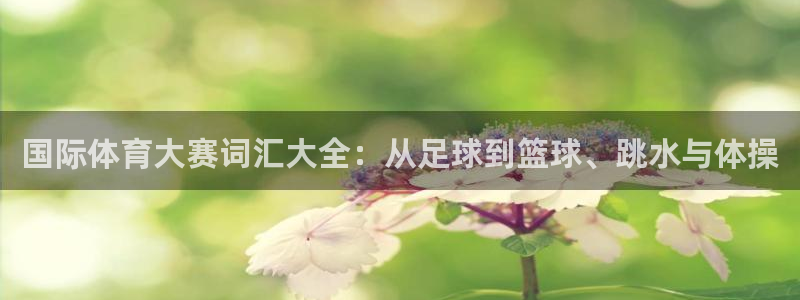 xc体育：国际体育大赛词汇大全：从足球到篮球、跳水与体操