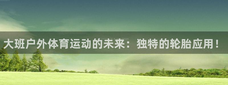 xc体育：大班户外体育运动的未来：独特的轮胎应用！