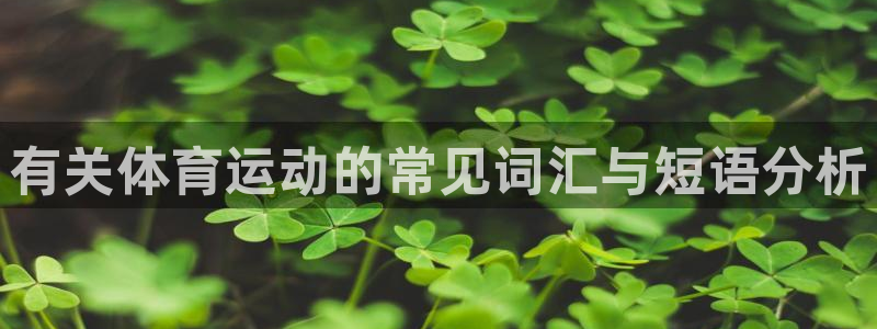 xc体育：有关体育运动的常见词汇与短语分析