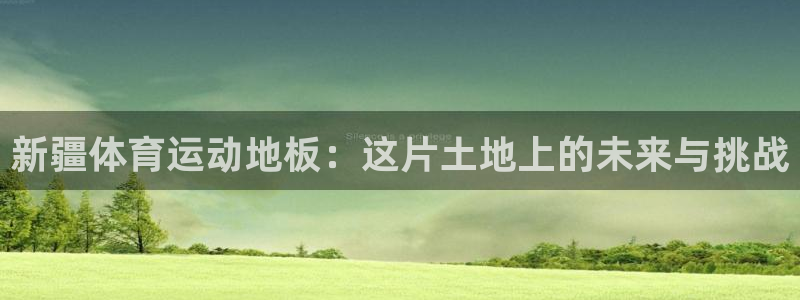 xc体育：新疆体育运动地板：这片土地上的未来与挑战