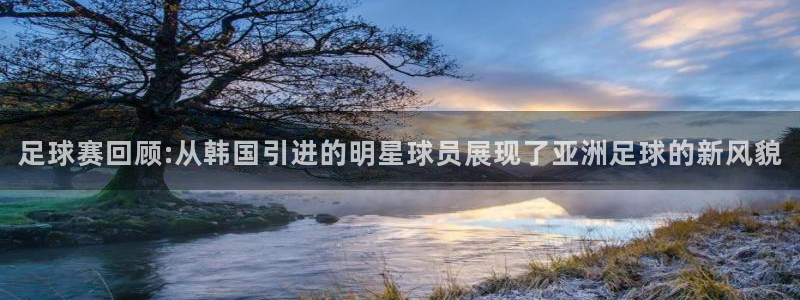 足球赛回顾:从韩国引进的明星球员展现