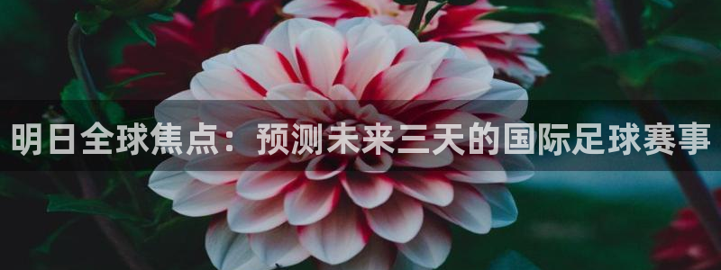  明日全球焦点：预测未来三天的国际足球赛事
