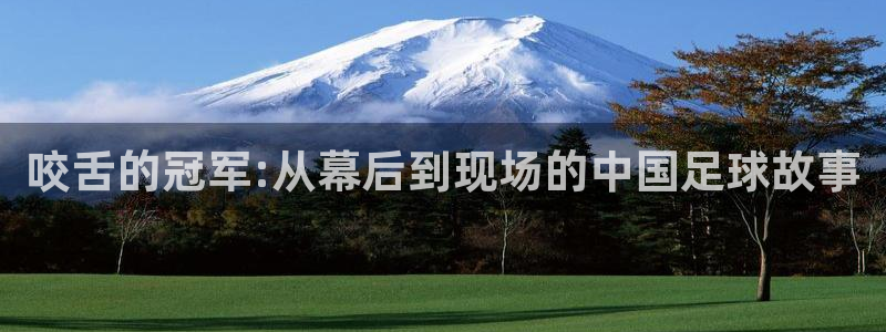  咬舌的冠军:从幕后到现场的中国足球故事
