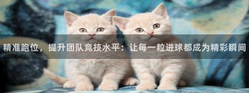  精准跑位，提升团队竞技水平：让每一粒进球都成为精彩瞬间