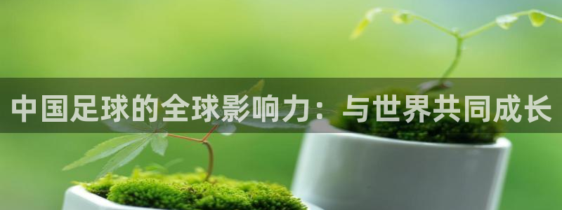 中国足球的全球影响力：与世界共同成长