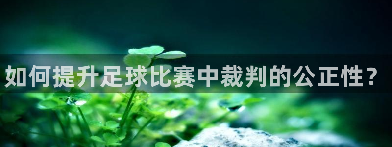 如何提升足球比赛中裁判的公正性？