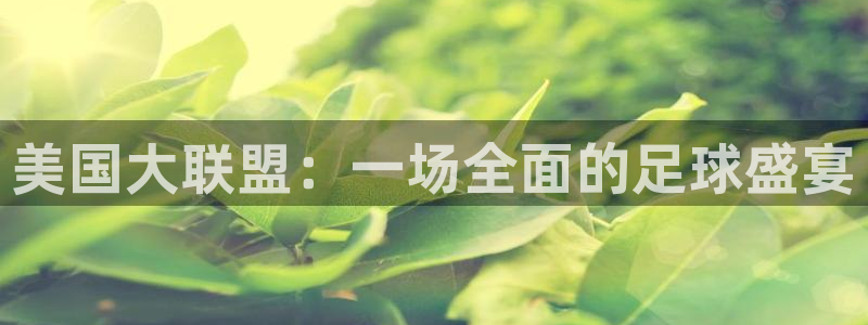 美国大联盟：一场全面的足球盛宴