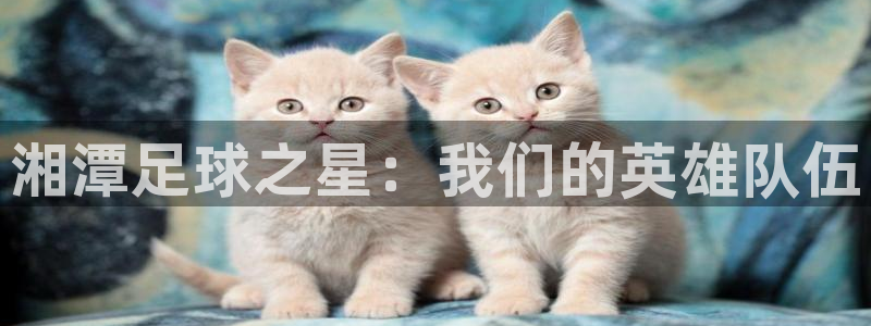 湘潭足球之星：我们的英雄队伍