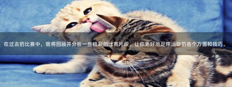 在过去的比赛中，我将回顾并分析一些精