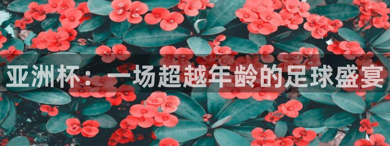 亚洲杯：一场超越年龄的足球盛宴