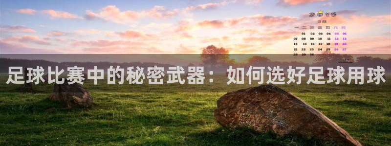 足球比赛中的秘密武器：如何选好足球用