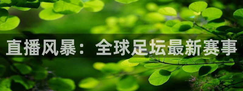 直播风暴：全球足坛最新赛事