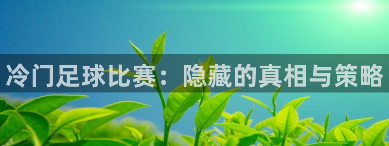 冷门足球比赛：隐藏的真相与策略