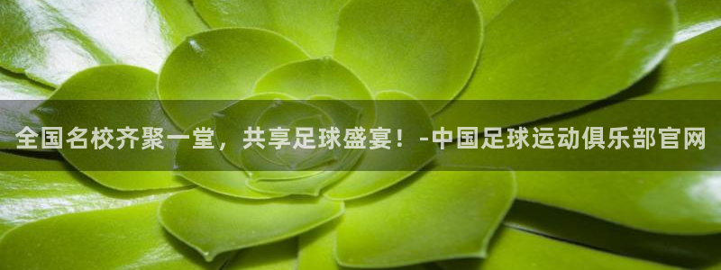 全国名校齐聚一堂，共享足球盛宴！-中