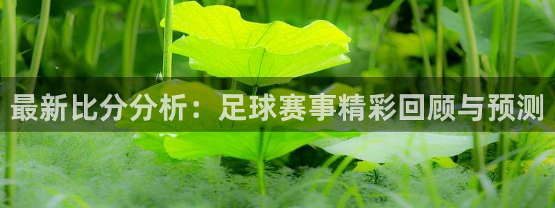 最新比分分析：足球赛事精彩回顾与预测