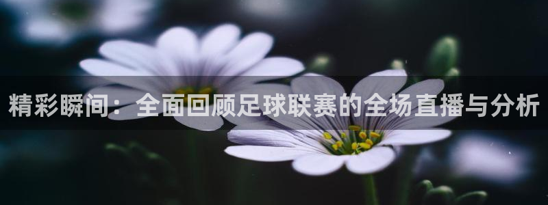 精彩瞬间：全面回顾足球联赛的全场直播